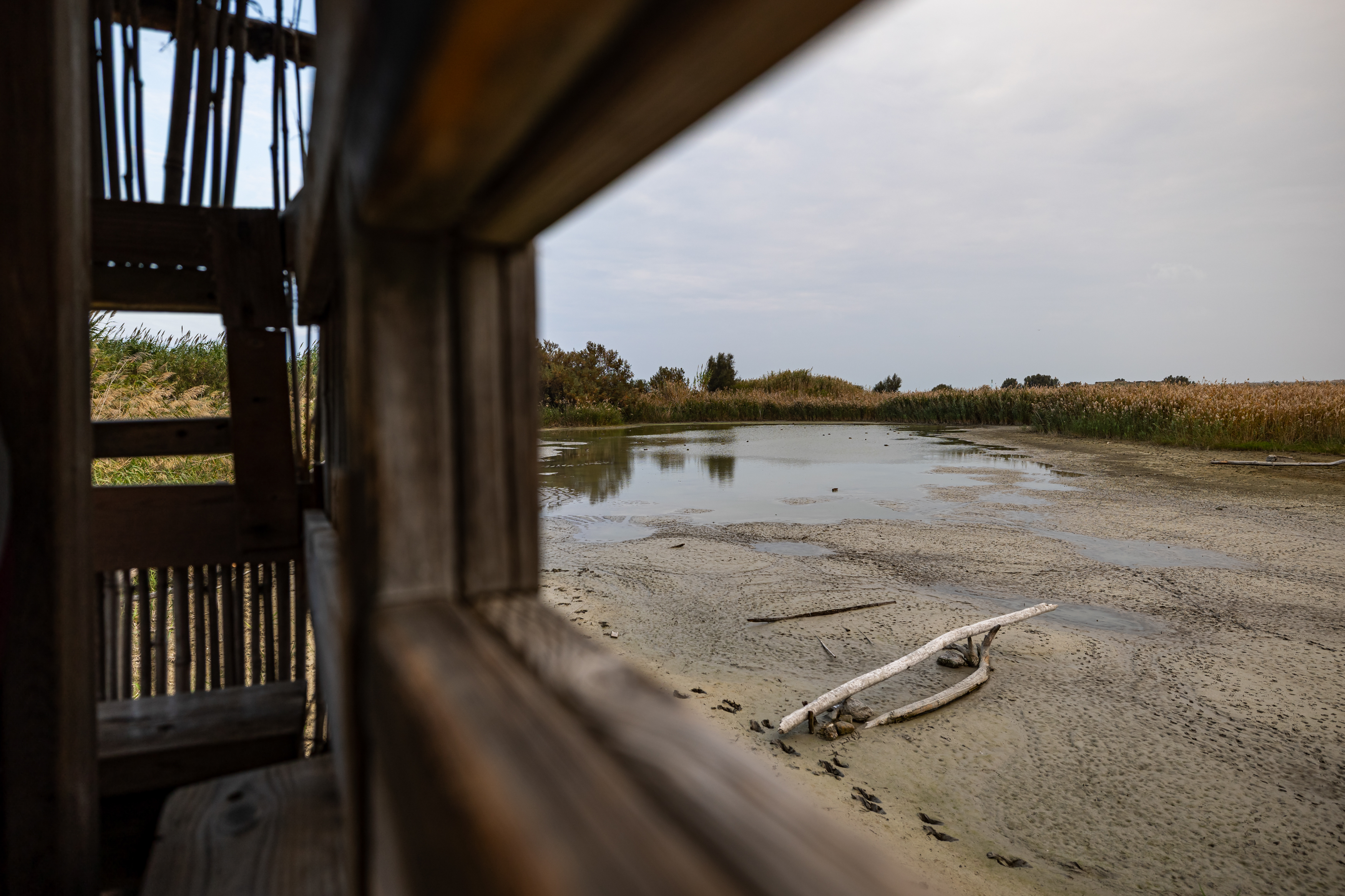 Stazione di Birdwatching