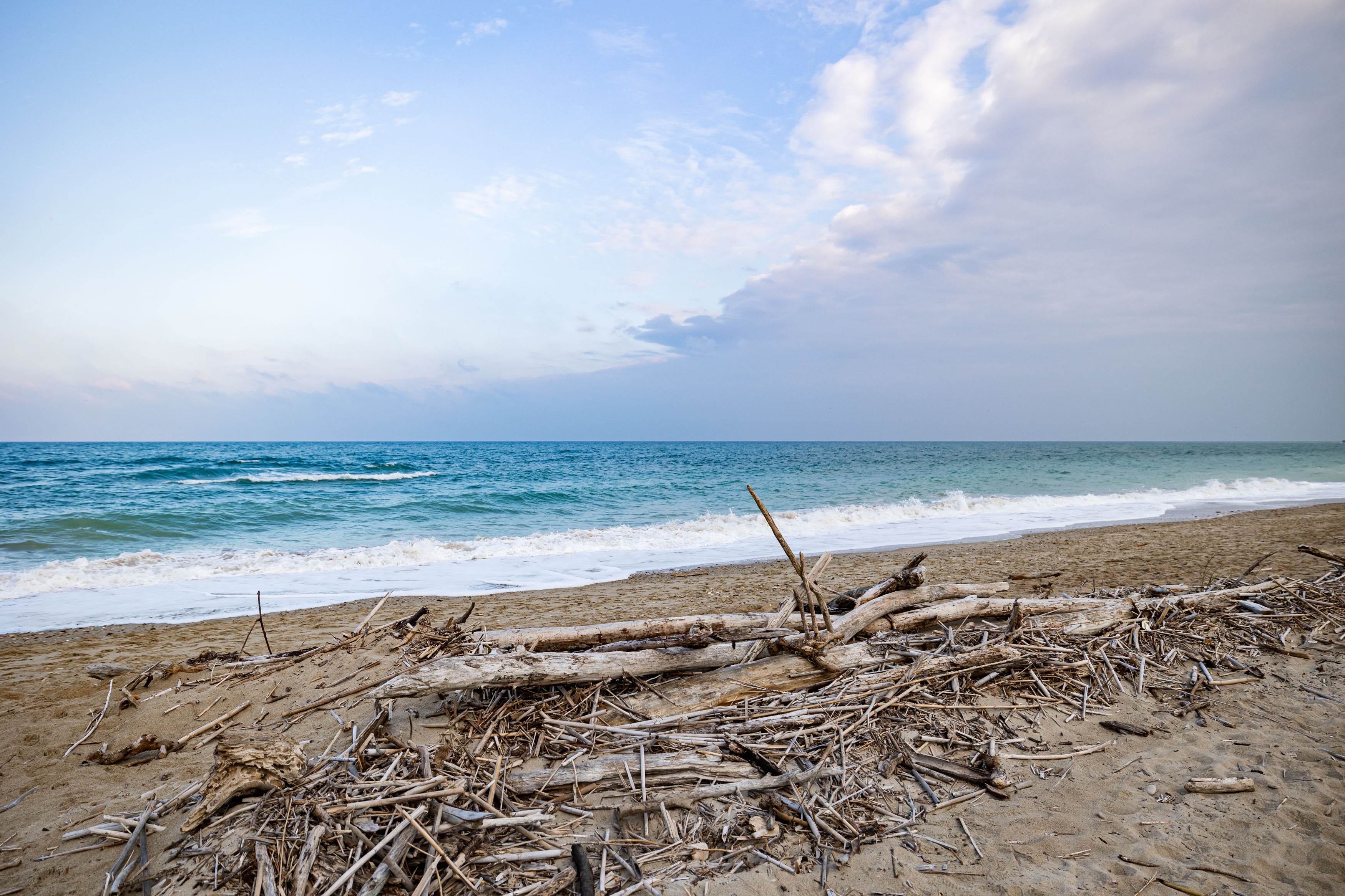 Spiaggia Riserva Naturale Sentina