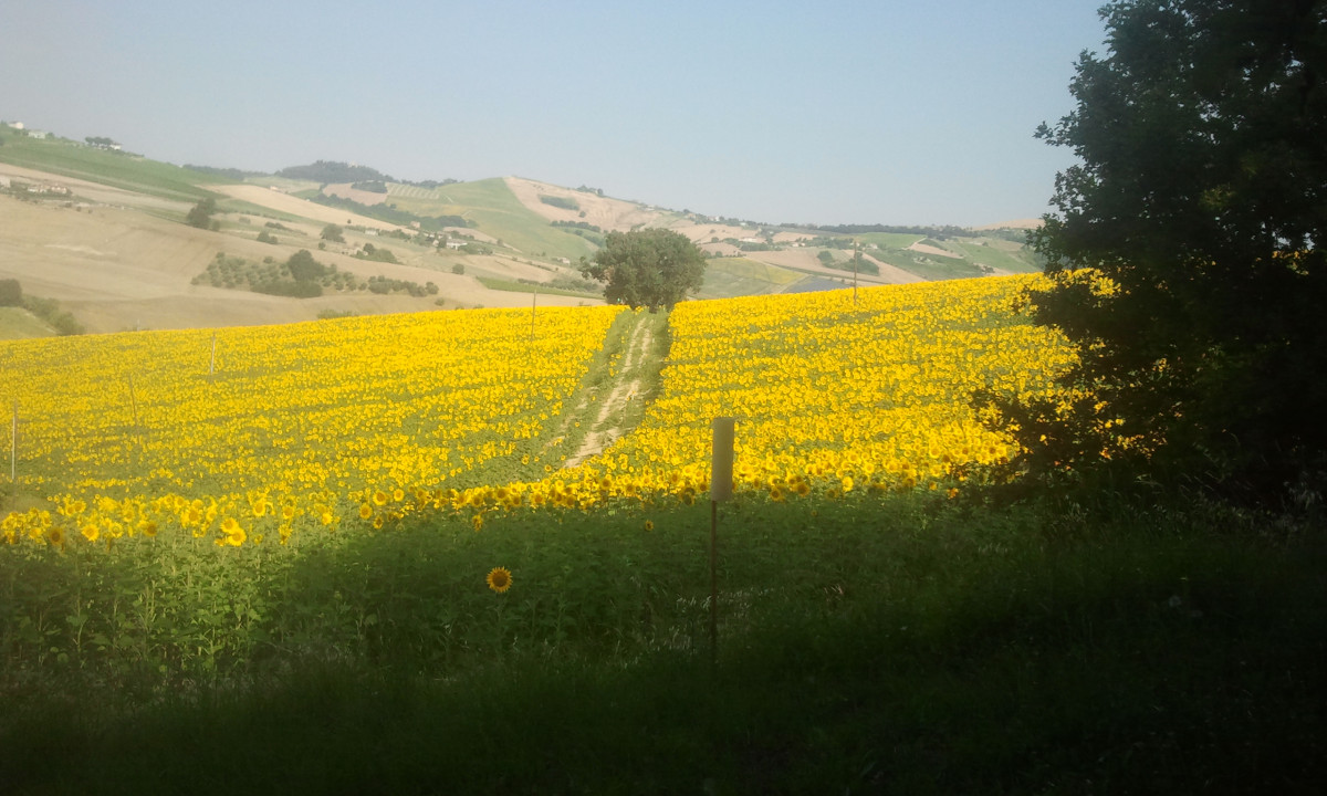 Agriturismo C'era una volta