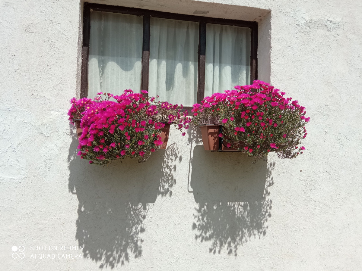 Agriturismo C'era una volta