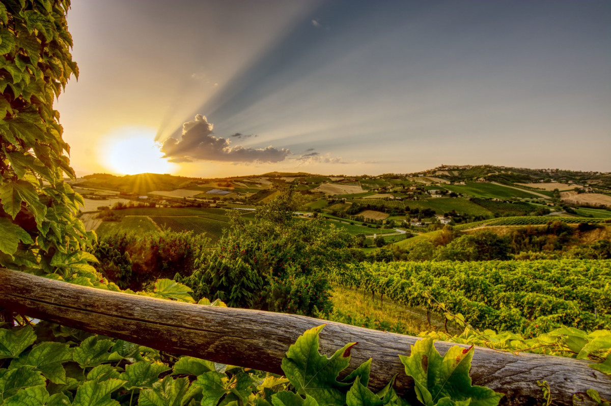 Agriturismo C'era una volta