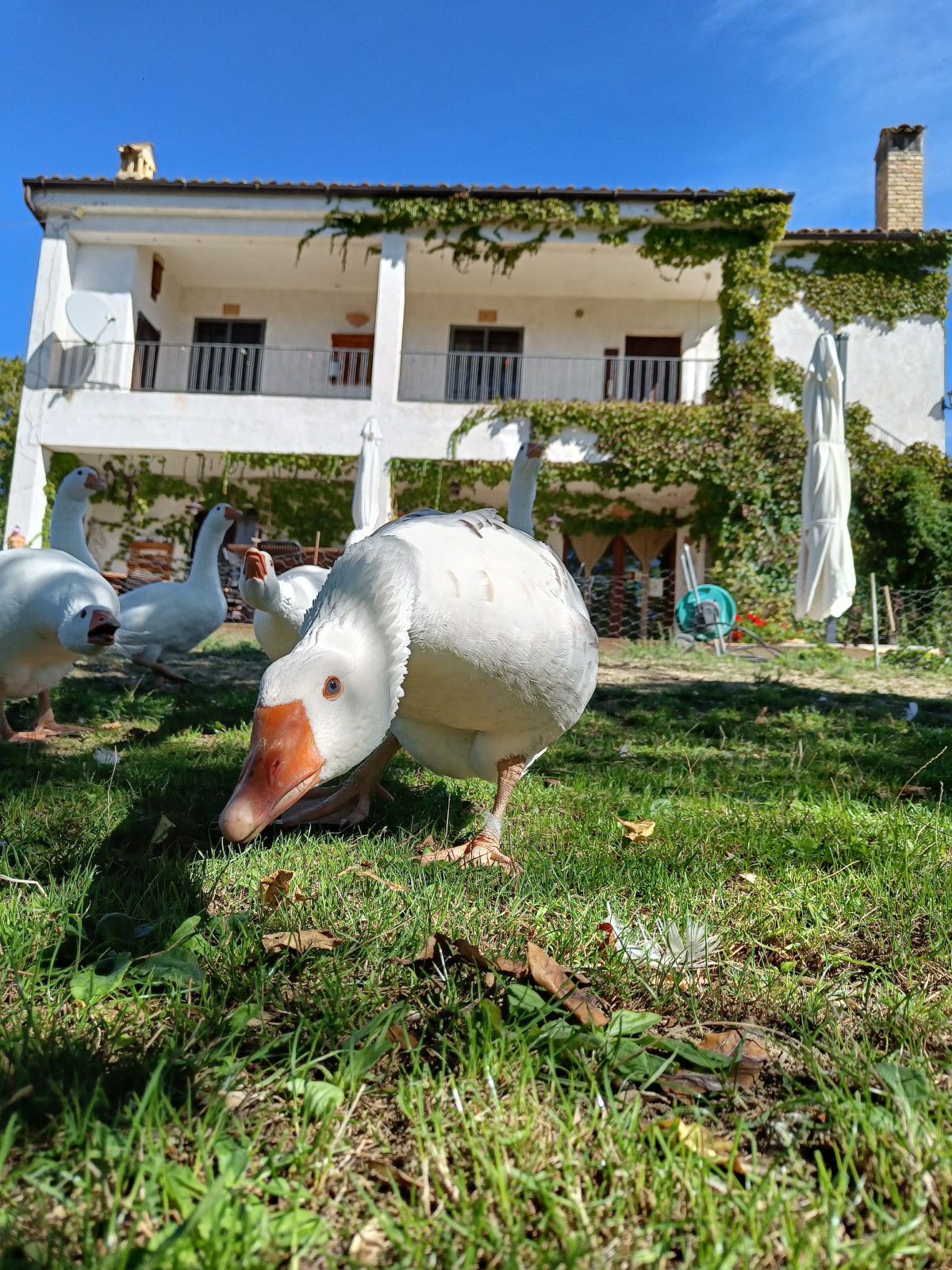 Agriturismo C'era una volta