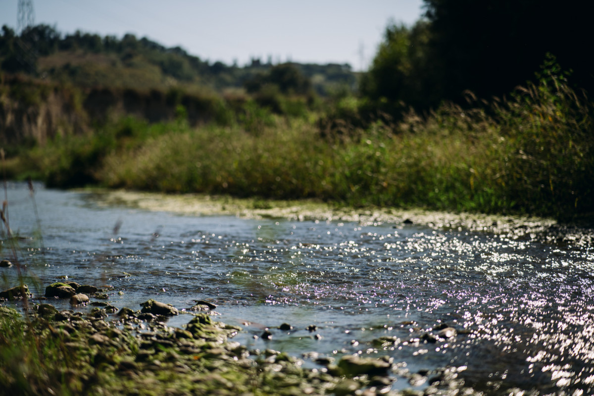 Area Verde Fiume Tenna