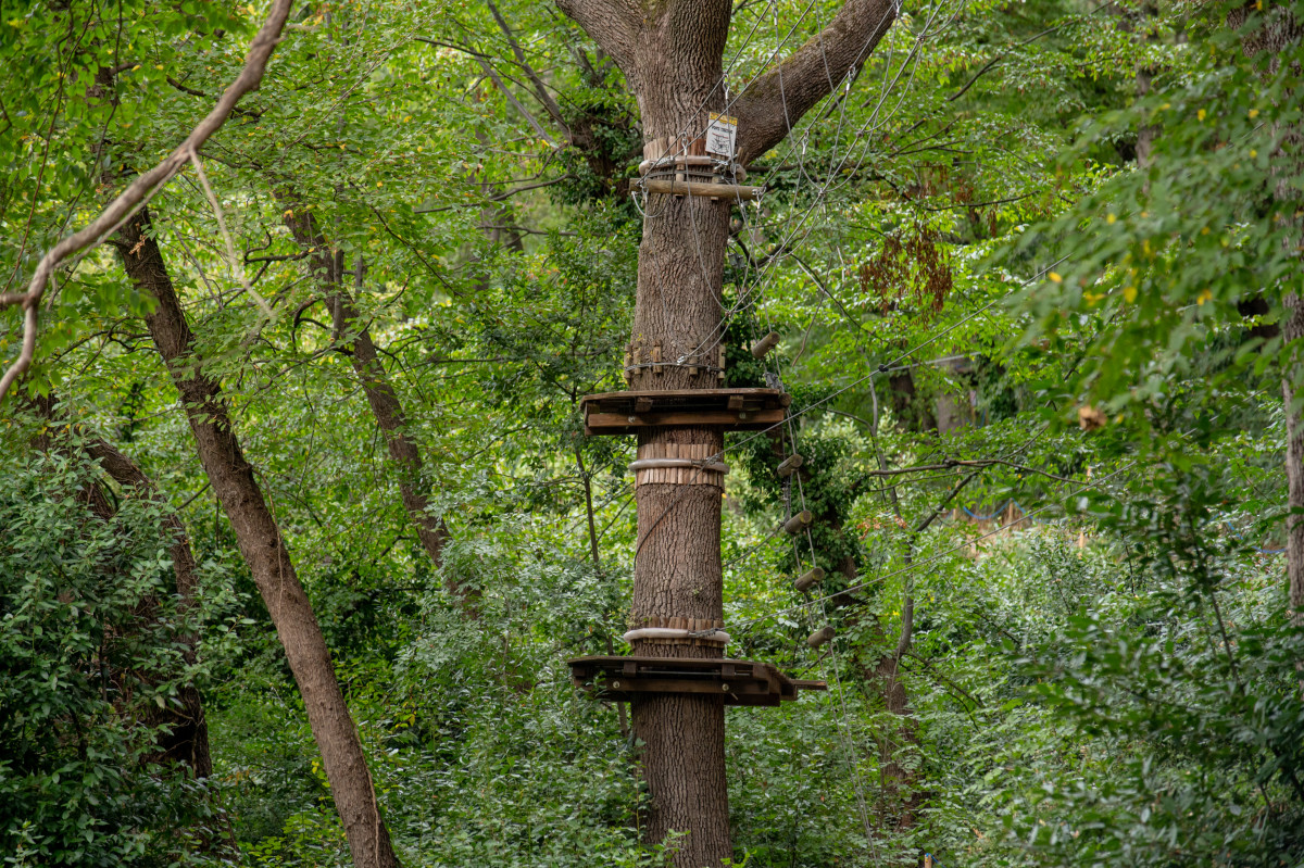 Selva dei Frati - Ripadventure Adventure Park
