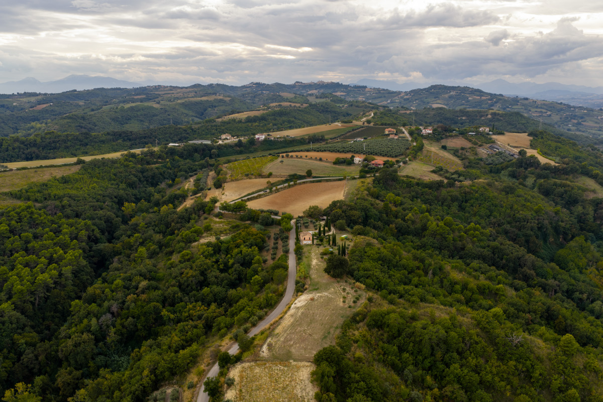 SIC "Woods between Cupramarittima and Ripatransone"