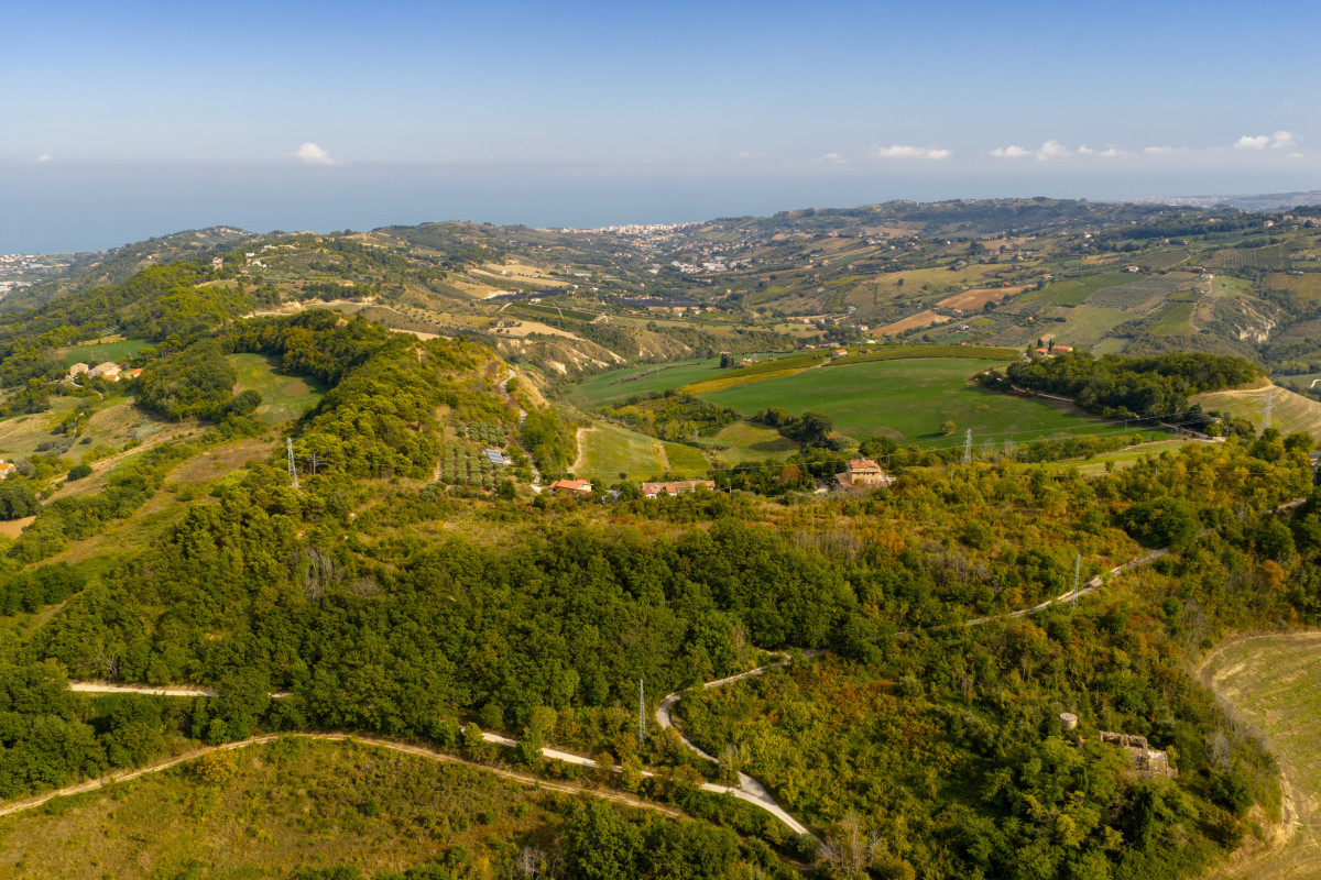 Colle di Guardia Woods