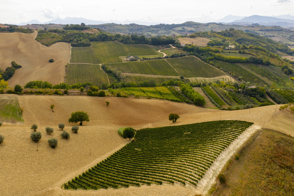 Rosso Piceno Superiore Road